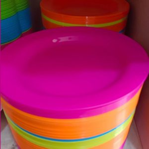 3 unidades plato picnic